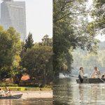 ritz carlton cdmx chapultepec park