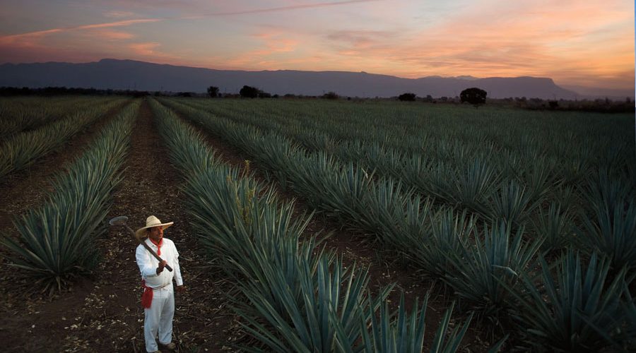Pueblos Magicos: A Guide to Mexico’s Magic Towns