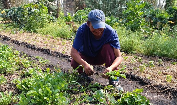 Meet Mexico's Changemakers: Ancestral Agroecology in Mexico City with