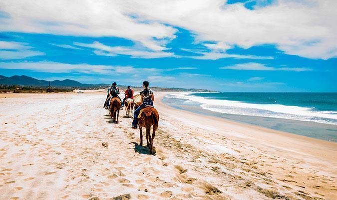 El Perdido Horseback Riding in the beach