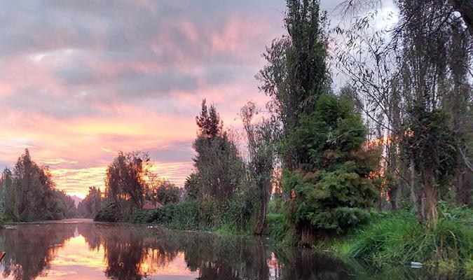 xochimilco tour nature