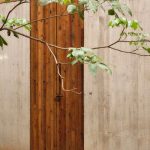 otro oaxaca wooden door entrance