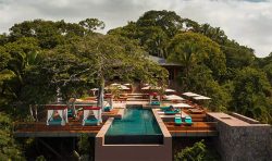 alma restaurant view one and only mandarina