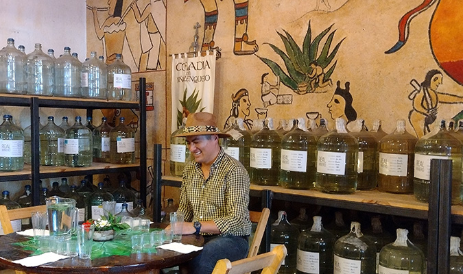 mezcal in oaxaca real minero tour