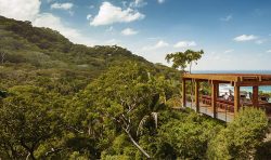 treetop restaurant one and only mandarina