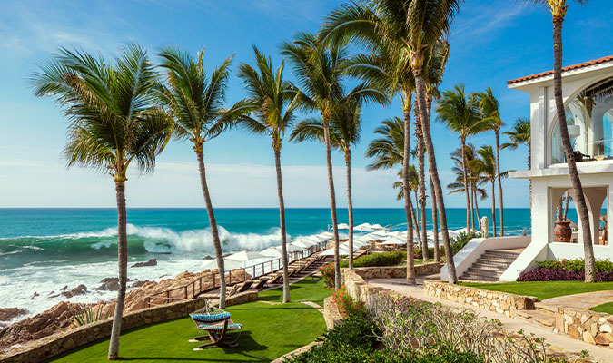O&O Palmilla