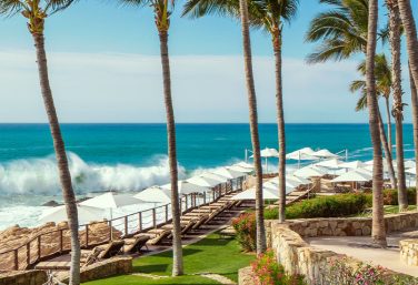 O&O Palmilla