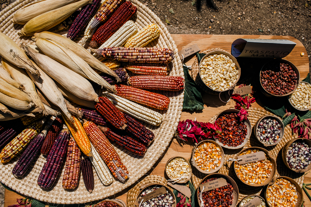 featured las alamandas