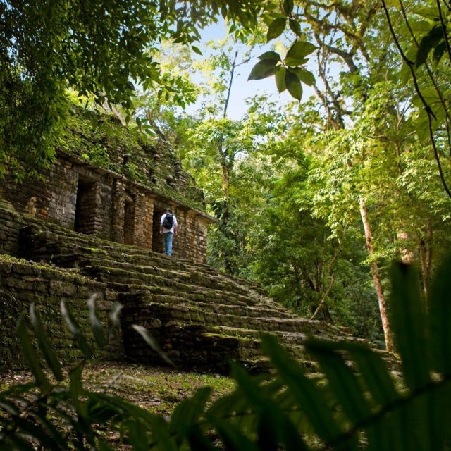 Chiapas is an important part of Mexico’s diverse and varied identity and an ideal place to learn about Mayan culture and explore some of the country's most beautiful natural settings. Local festivals, exquisite Mayan ruins, surprising colonial cities, diverse nature offerings, and a rich blend of colonial and indigenous cultures make trips to this region fascinating travel experiences. 🍃

#mexico #mexicotravel #chiapas #explore #travel #adventure #luxurytravel #mayan #mayanruins #traveler #culture #nature #wonder