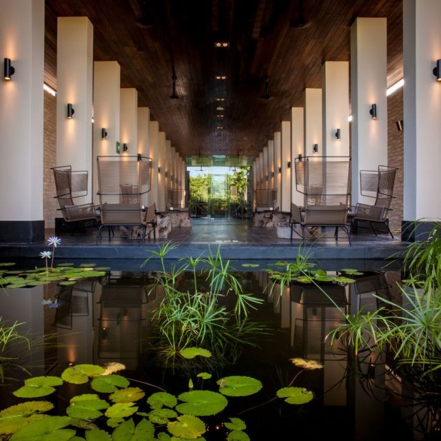 Treating yourself while on vacation is the perfect combination. @nizucresort's welcoming ambiance, coupled with its serene surroundings, creates an atmosphere that instantly soothes your senses and provides you with the utmost comfort and serenity.

#mexico #mexicotravel #nizuc #spa #treatyourself #travel #luxurytravel #comfort #traveler #instatravel #travelgram #wellness #travelgram