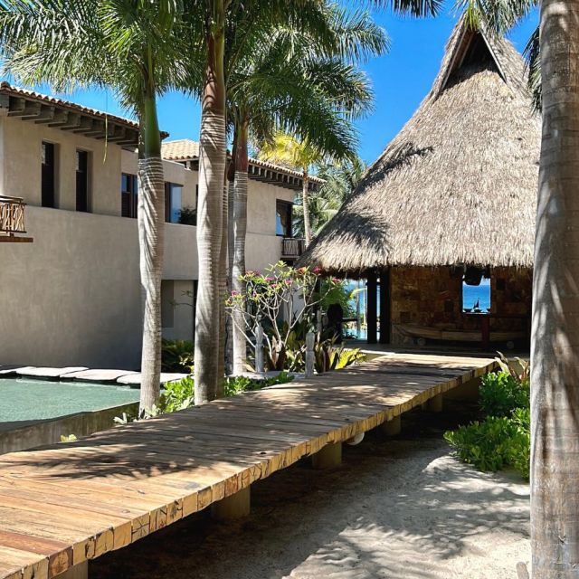 Last week, the Journey Mexico team had an incredible time exploring the luxurious oasis of @casakokovilla and we're here to share the excitement with you!

Join us for a mini-tour as we unveil the stunning features and details of Casa Koko, where every corner exudes pure elegance and relaxation. 

#mexico #mexicotravel #casakoko #luxurytravel #travelgram #instatravel #minitour #elegance #relaxaction #travel #traveler #paradise #puntamita #luxurytravel #beach #paradise #travelagent