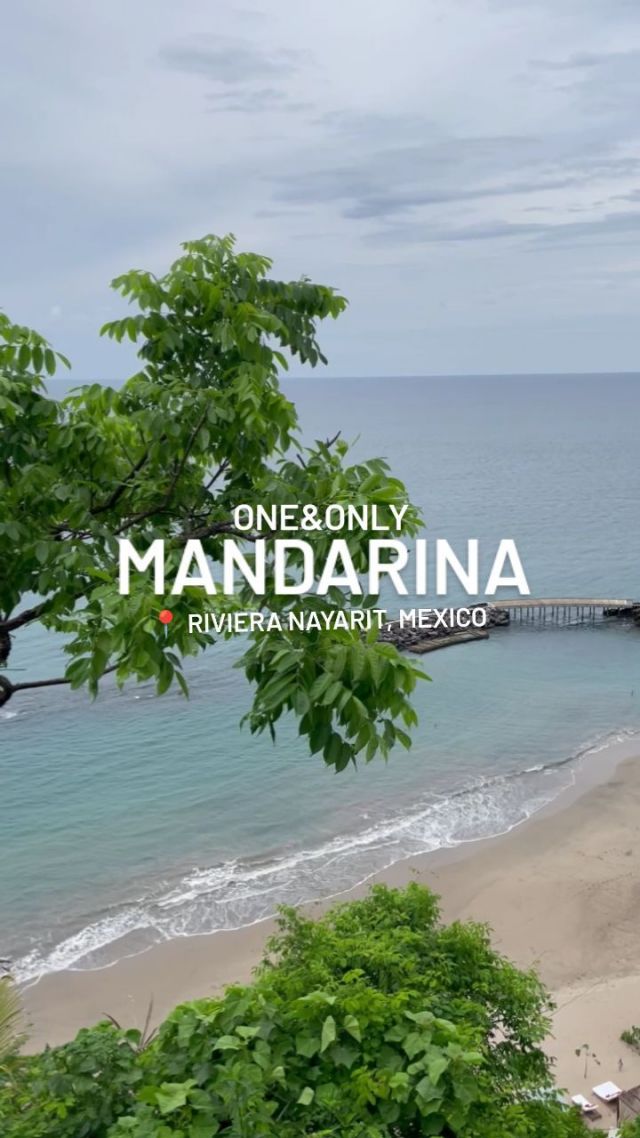 Strap in and brace yourself for 15 seconds of mind-blowing views! ✨

📍 @oomandarina

#mexico #mexicotravel #view #jungle #landscape #travelgram #instatravel #travel #traveler #luxurytravel #reels #rivieranayarit #ocean