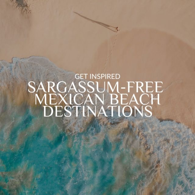 Tired of hearing about sargassum messing up your beach vibes? Don't worry! Mexico has got you covered with some epic, sargassum-free beach destinations. Hit that swipe for your ticket to beach bliss! 🏖️

TIP: Discover our top resort picks, villa recommendations, and exciting itineraries on our Instagram stories! ✨

#mexico #mexicotravel #beach #sargassum #travel #luxurytravel #beachlife #travelgram #instatravel #ocean #beachbliss #photography
