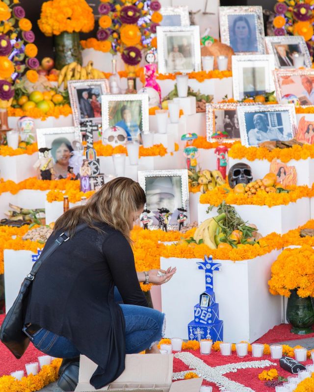 As the autumn leaves fall, and the air is filled with a sense of nostalgia, Mexico is abuzz with the spirit of tradition. Day of the Dead is upon us. From November 1st to November 2nd, we embrace the beauty of this heartfelt celebration. 💀🌼✨

Families across the nation are setting up altars, adorned with vibrant marigolds, sugar skulls, and candles, all in loving memory of those who have passed. These ofrendas (offerings) are a symphony of memories and cherished moments - the favorite foods, drinks, and belongings of our loved ones are displayed, beckoning their spirits back to our world. 💫

#mexico #mexicotravel #photography #traditions #culture #heritage #dayofthedead #marigold #nostalgia #altars #sugarskull