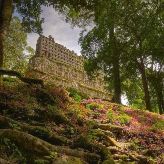 Imagine wandering through the heart of the jungle, surrounded by the vibrant greenery that cradles the ancient ruins of the Mayan civilization, Yaxchilán. As you wander through this ancient site, it's like stepping back in time, tracing the footsteps of a pre-Hispanic civilization. 

Getting to Yaxchilán is an adventure all on its own – a boat journey that weaves an extra layer of magic into the entire experience. 💫

#mexico #mexicotravel #ruins #chiapas #archeology #luxurytravel #travel #adventure #explore #travelagent #heritage #culture