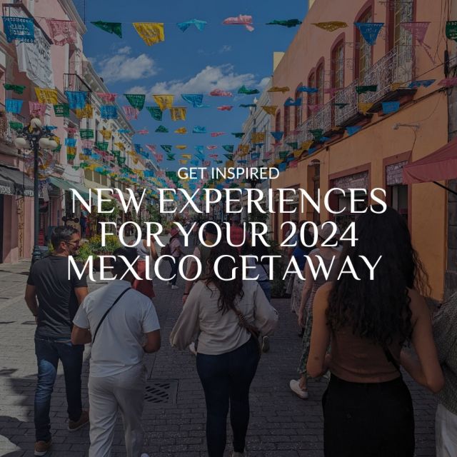 Have you ever seen a buffet of awesomeness? We've cooked up 10 brand new adventures just for you! 🥳 Get ready to dive into a world of artistic wonders, cultural delights, and nature's jaw-dropping marvels. A buffet of awesomeness, we're telling you – exploring Mexico in a whole new light and discovering sides you've never seen before.

And here's the best part: you can sprinkle these experiences into your customized itinerary that includes accommodation. It's time to kickstart your next Mexico escapade with a bang! 🇲🇽

#mexico #mexicotravel #luxurytravel #travel #travelagent #adventure #explore #instatravel #travelgram