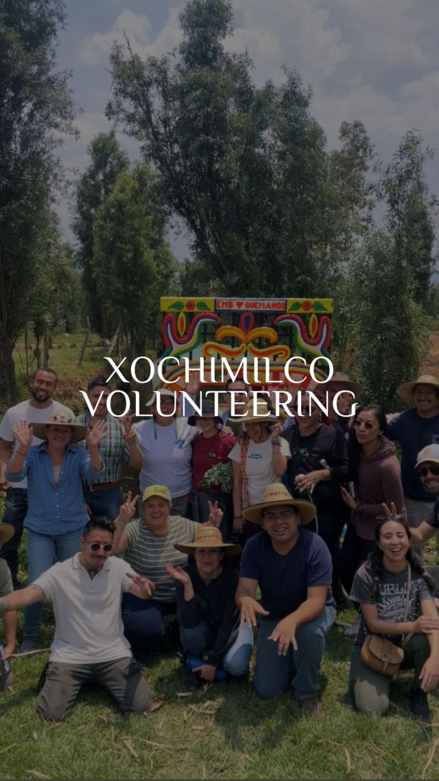 Last week, our team set sail for Xochimilco on a mission. Armed with weed-pulling superpowers and tidying-up capes, we sprang into action to pull weeds, trim grass, and tidy up the area. 

And here's something exciting: @reeducamx (the people behind the Chinampas En Movimiento project) is our NGO Partner for the month of May! Through our collaborative efforts, they will benefit from the conservation fees we collect, further amplifying their impact on environmental conservation.

Check out our latest adventure for a better world! 💫

#mexico #mexicotravel #chinampas #xochimilco #mexicocity #journeygivesback