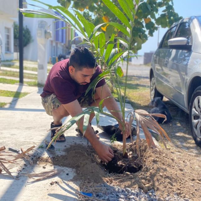 In the spirit of #EarthDay, we wanted to do something special to give back to nature for all the amazing things it does for us every single day. 🌎

So, our awesome team members decided to join the celebration and planted a tree at home, where they'll be looking after it, making sure it grows big and strong. 🌱✨

They say one mature tree can provide enough oxygen for two people. How amazing is that? These little ones have a big journey ahead, but we're excited about all the good they'll bring as they grow.

#mexico #earthmonth #savetheplanet #treeplanting #teamwork #sustainability #journeygivesback