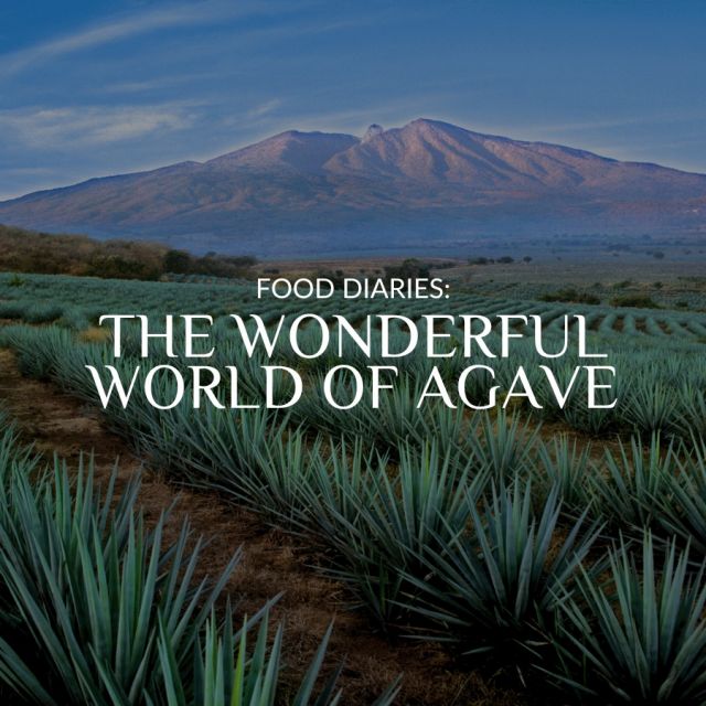 Get ready to dive into a whole new adventure with our latest series, Food Diaries! 🥂

First stop: the wonderful world of agave! 🤠 This plant isn't just any old greenery — it's a symbol of Mexican identity, resilience, and all-around awesomeness. Plus, it transforms into some seriously tasty spirits. Swipe to get to know them! ✨

P.S: Stay glued to our socials for the full scoop on all things agave! We're diving deep so you can truly get to know it inside and out.

#mexico #agave #tequila #mezcal #pulque #henequen #heritage