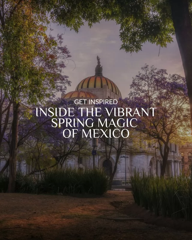 Spring has arrived, and we’re absolutely loving it! #Mexico transforms with stunning golden-hour hues as temperatures rise, flowers bloom, and migratory birds return. 🌷

It’s also the time when monarch butterflies make their way home, and the spring equinox at Chichen Itzá creates its magical moments.

We’re all in for this vibrant season! Swipe to get a glimpse. ☀️✨