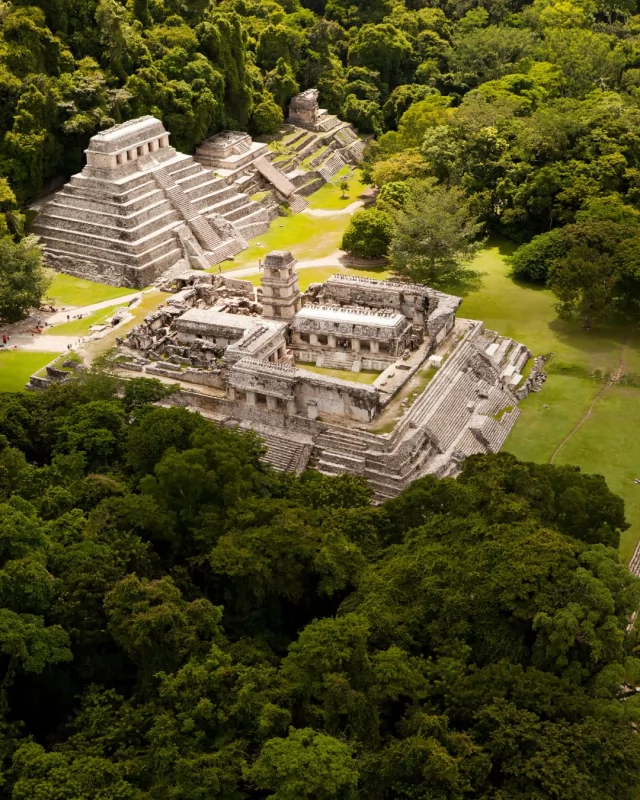 Declared a UNESCO World Heritage site in 1987, #Palenque in #Chiapas is a total treasure for history buffs and nature lovers! 🛕🌿

Deep in the jungle, this ancient Mayan city feels like stepping into another world. With its stunning ruins surrounded by lush greenery, it’s the perfect mix of adventure, mystery, and Mexico’s rich heritage. Ready to explore?