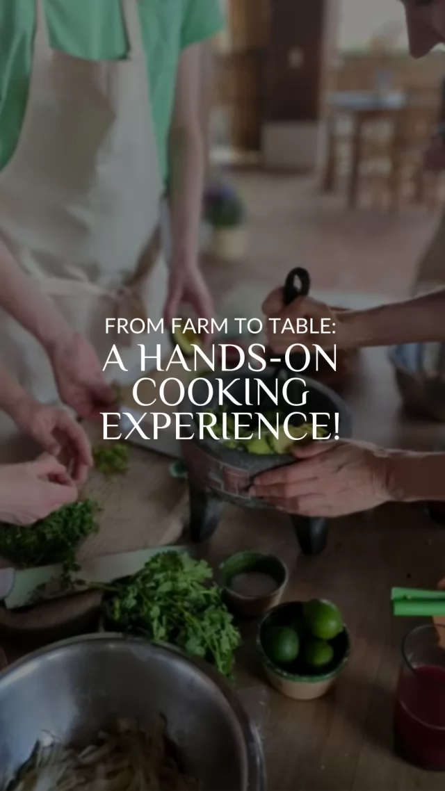 Mexican cuisine is the heart and soul of our culture, and there’s nothing more exciting than diving into the flavors, techniques, and tools that make it all come together! 🥑🌶️

Cooking classes are the perfect way to roll up your sleeves and experience all the deliciousness in the most fun and flavorful way possible! 😋