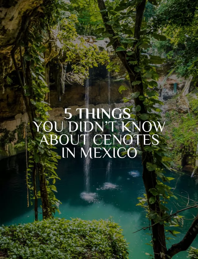 Swimming in a cenote in Mexico? Total bucket-list moment. With over 6,000 in the #Yucatán Peninsula alone, the adventure possibilities are endless. ✨

Check out these 5 mind-blowing facts you probably didn’t know about these stunning natural wonders! 👉🏼
